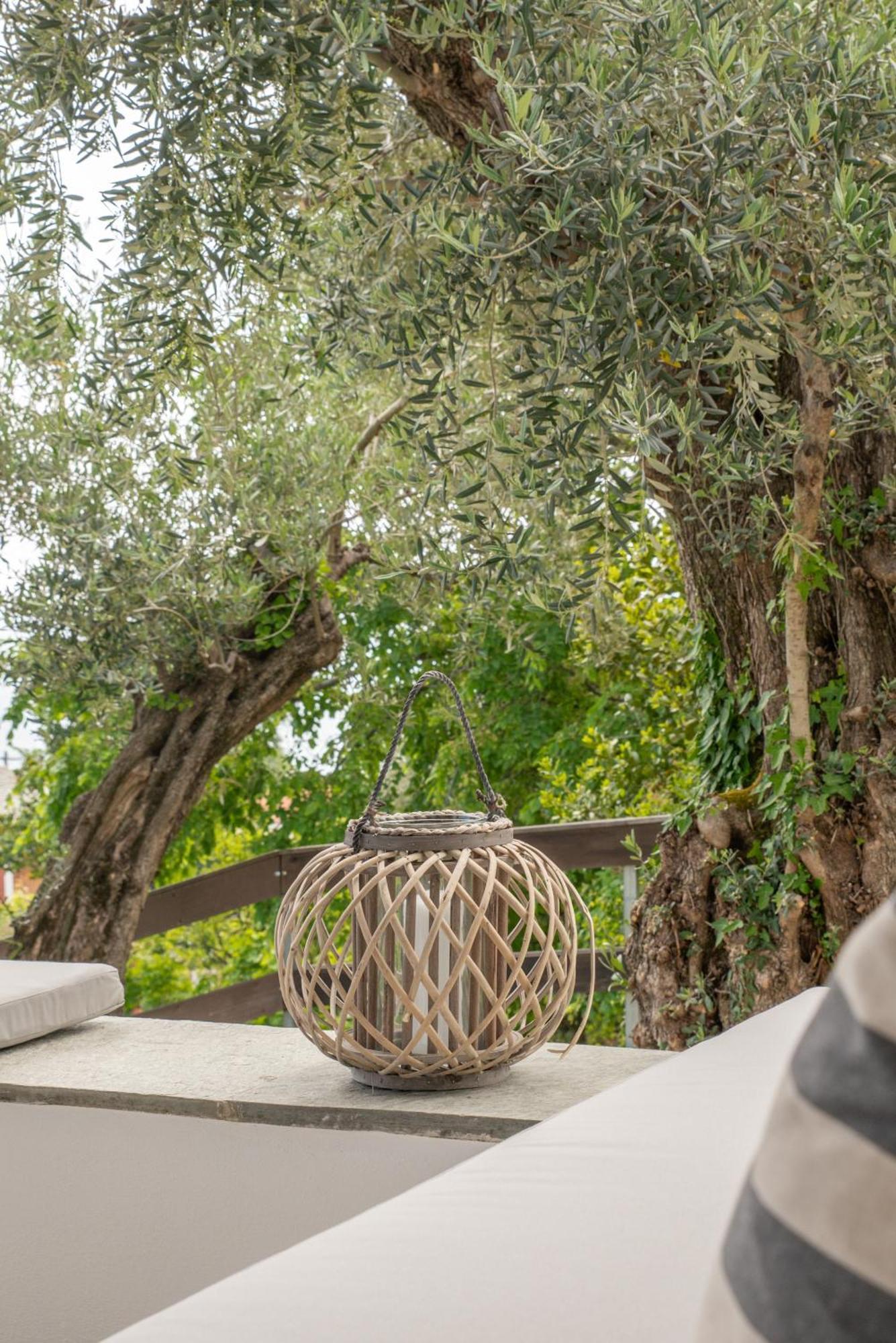 Aeolos Hotel & Villas - Pelion Chorefton Exterior photo