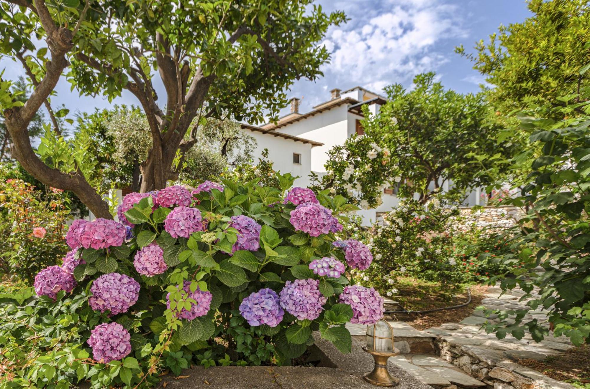 Aeolos Hotel & Villas - Pelion Chorefton Exterior photo